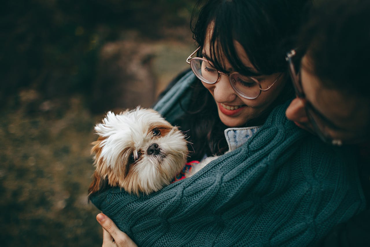 Tips For First Time Dog Owners