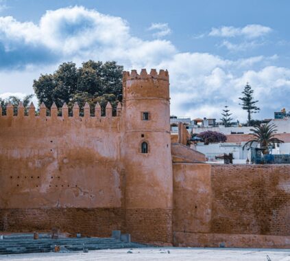 morocco wall taroudant